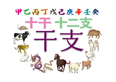 2025年干支|今年と来年の干支（2024年と2025年の干支）｜十干 